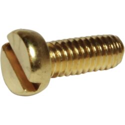 Johnson Brass Screw 0.0279.501