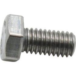 Johnson Tap Bolt Hex SS for End Cover