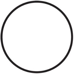 Johnson 0.2172.142 O-Ring