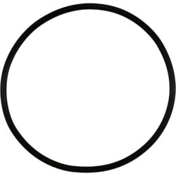 Johnson O-Ring 0.2173.475