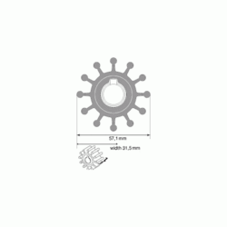 Johnson 09-801B Impeller Kit
