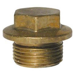AG Brass Flanged Plug 1" BSP Parallel
