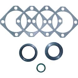 DriveForce Gasket & Seal Kit