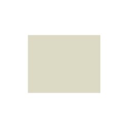 TK Colorspray Onan Ivory Engine Paint