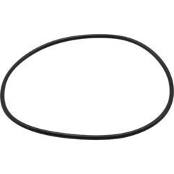 Maestrini O-Ring for Venezia Strainers