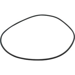 Maestrini O-Ring for Venezia Strainers