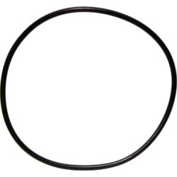Maestrini Raw Water Intake Strainer O-Ring