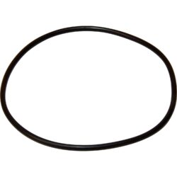 Maestrini Raw Water Intake Strainer O-Ring