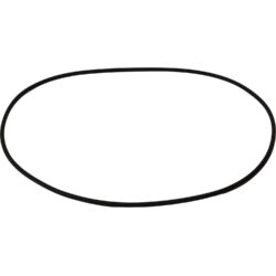 Maestrini Raw Water Intake Strainer O-Ring