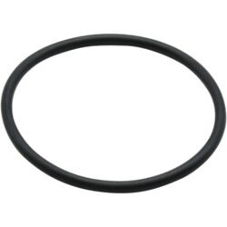 Maestrini Raw Water Intake Strainer O-Ring
