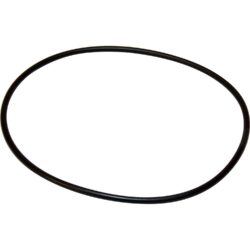 Maestrini Raw Water Intake Strainer O-Ring