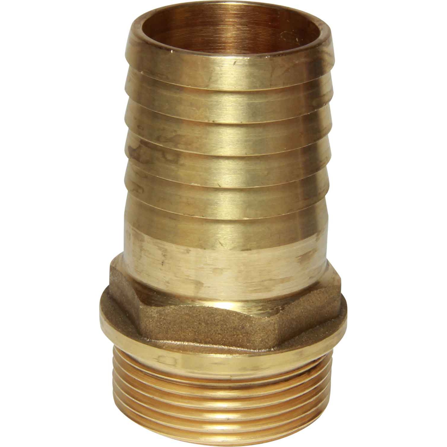 Maestrini Brass Straight Hose Tail (1-1/4" BSP Male to 38mm Hose) 1 Maestrini Brass Straight Hose Tail