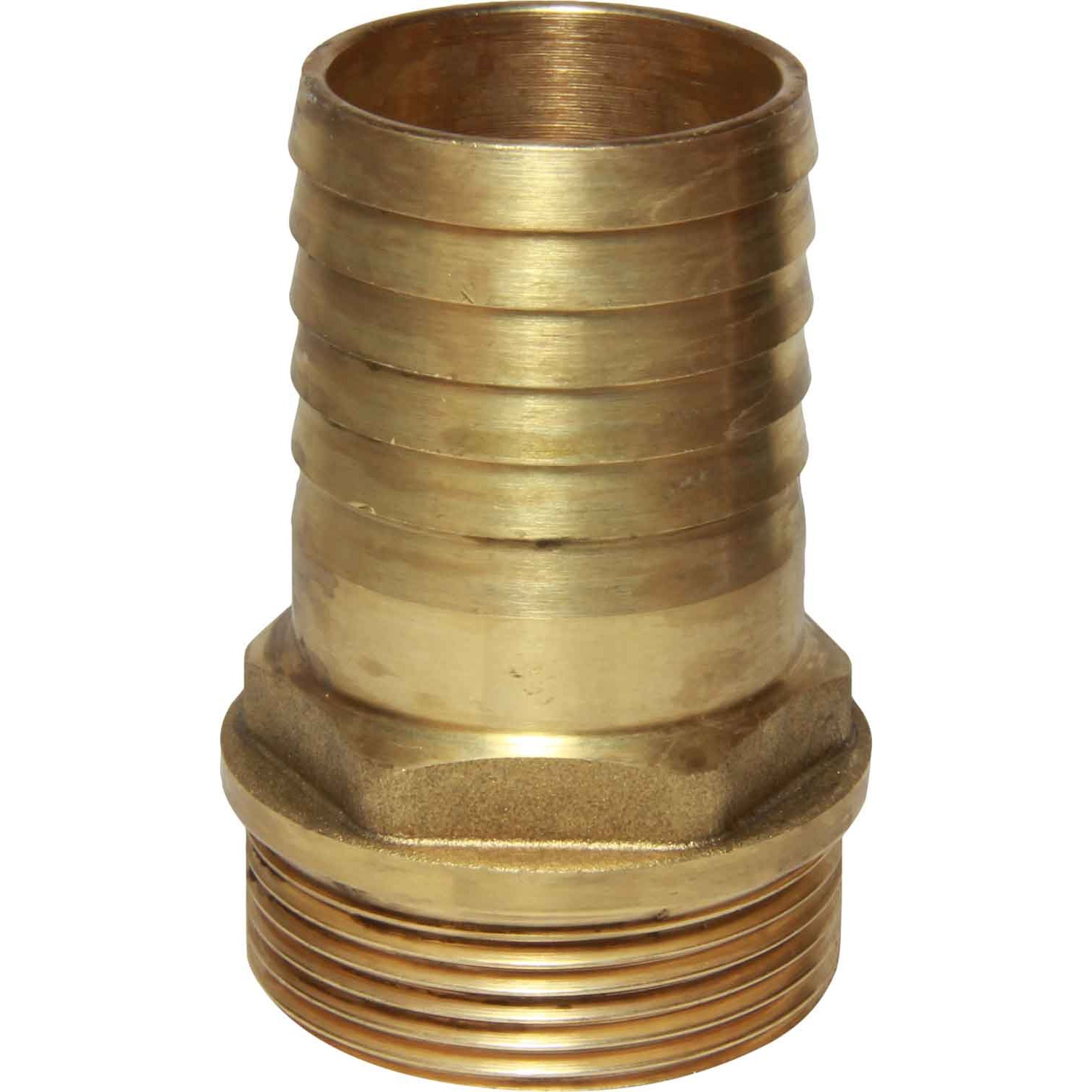 Maestrini Brass Straight Hose Tail (1-1/2" BSP Male to 40mm Hose) 1 Maestrini Brass Straight Hose Tail