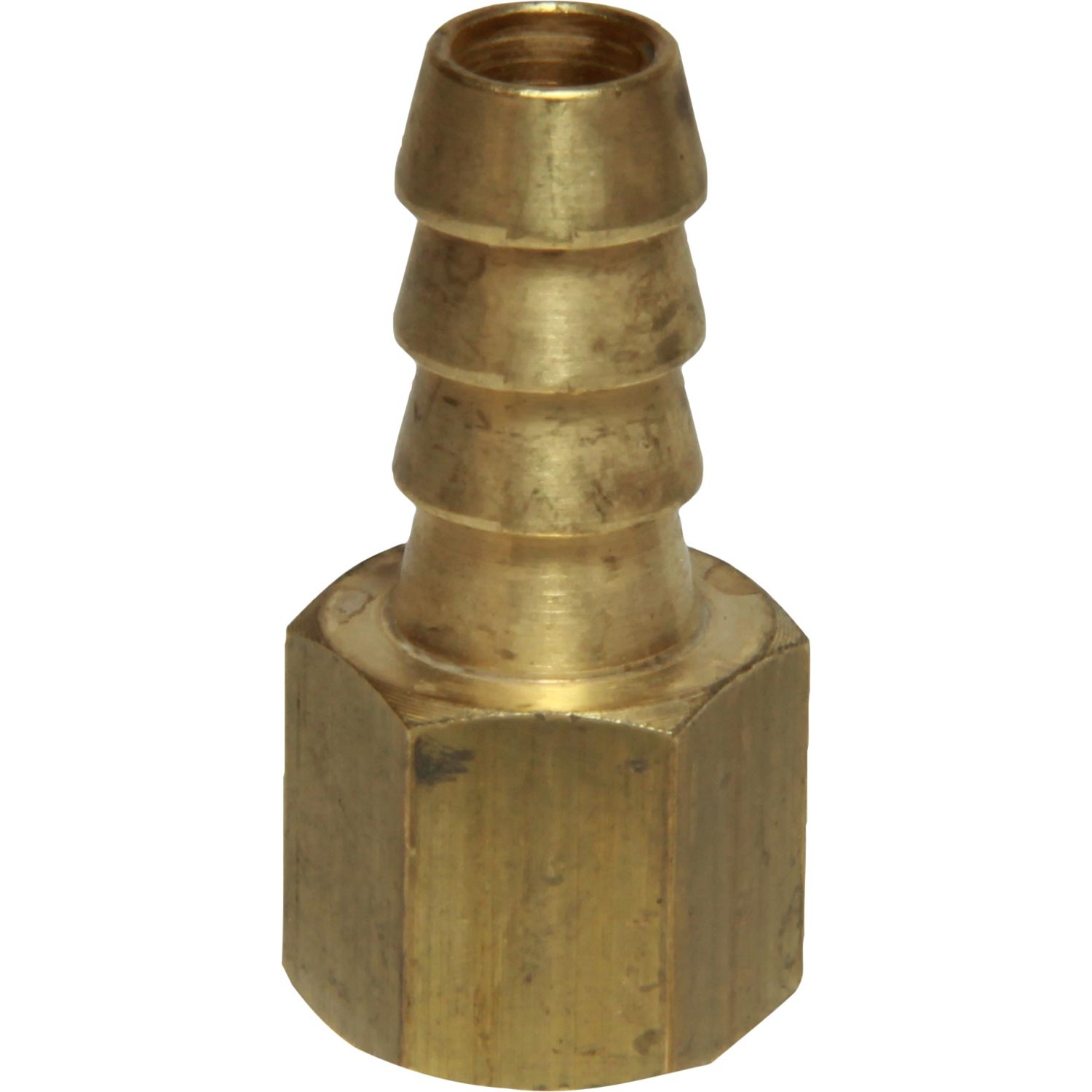 Maestrini Brass Straight Hose Tail (1/4" BSP Female to 10mm Hose) 1 Maestrini Brass Straight Hose Tail