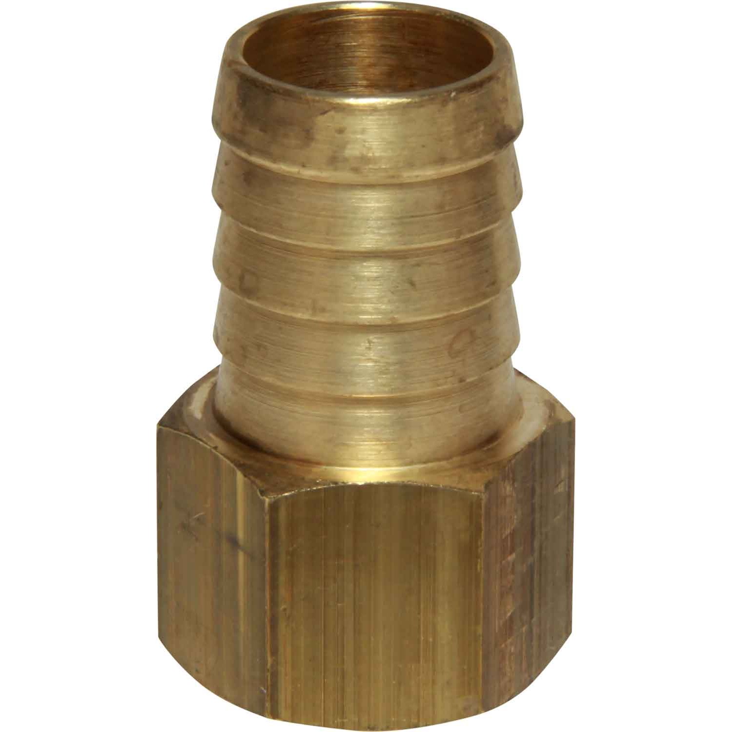 Maestrini Brass Straight Hose Tail (1/2" BSP Female to 20mm Hose) 1 Maestrini Brass Straight Hose Tail