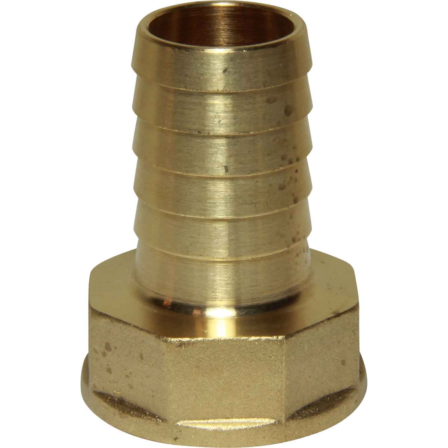 Maestrini Brass Straight Hose Tail (1" BSP Female to 25mm Hose) 1 Maestrini Brass Straight Hose Tail