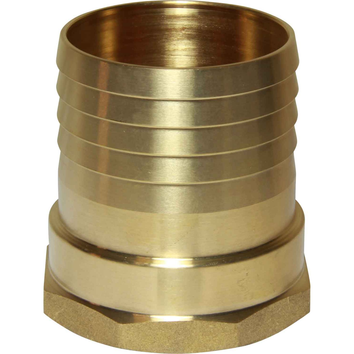Maestrini Brass Straight Hose Tail (2-1/2" BSP Female to 70mm Hose) 1 Maestrini Brass Straight Hose Tail