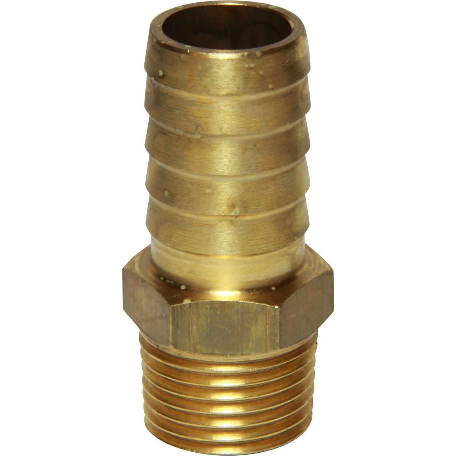Maestrini DZR Straight Hose Tail (1/2" BSPT Male to 19mm Hose) 1 Maestrini DZR Straight Hose Tail