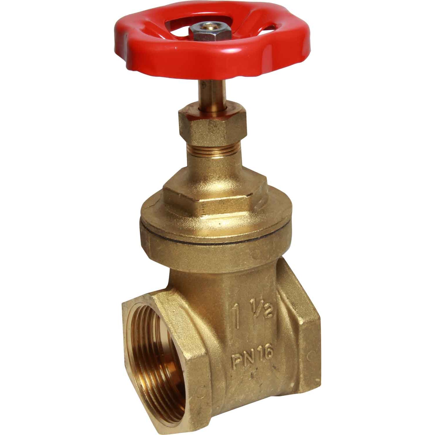Maestrini Brass Gate Valve with Brass Body (1-1/2" BSP Female) 1 Maestrini Brass Gate Valve