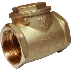 Maestrini Brass Inline Swing Check Valve