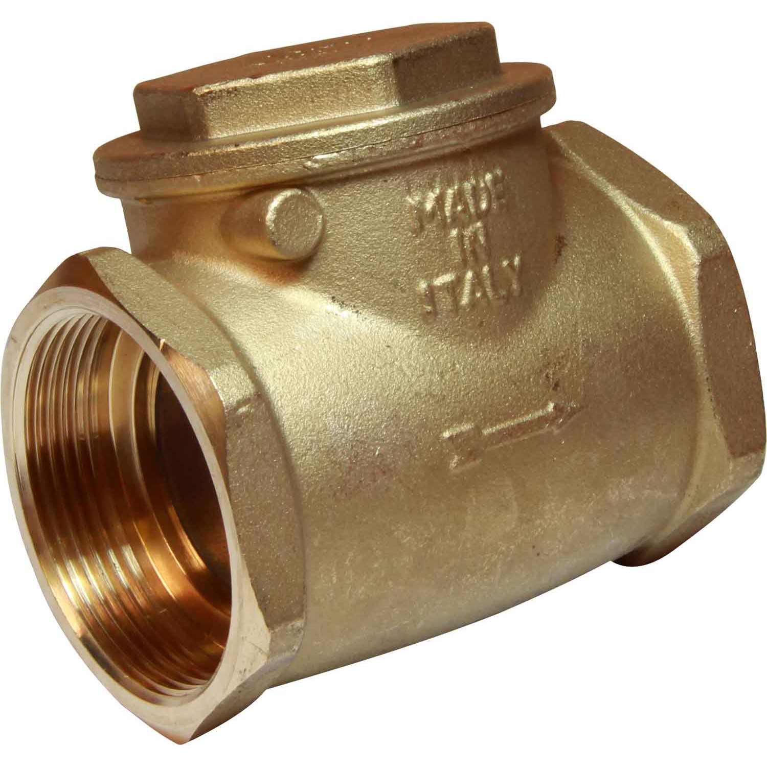 Maestrini Brass Inline Swing Check Valve (2-1/2" BSP Female) 1 Maestrini Brass Inline Swing Check Valve