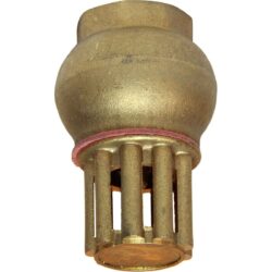 Maestrini Brass Foot Valve