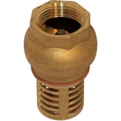 Maestrini Brass Foot Valve
