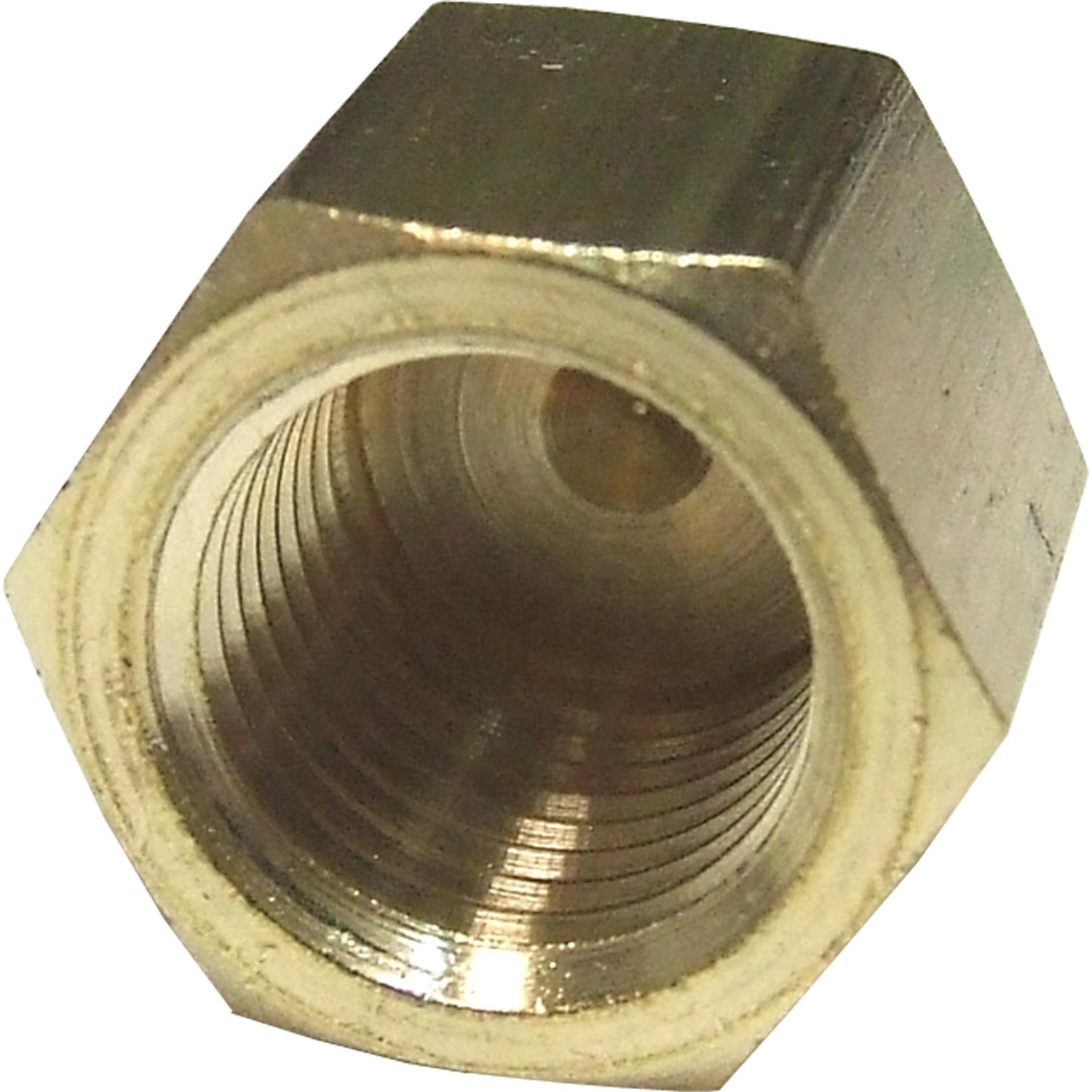Maestrini Brass Blanking Cap (1/4" BSP Female) 1 Maestrini Brass Blanking Cap