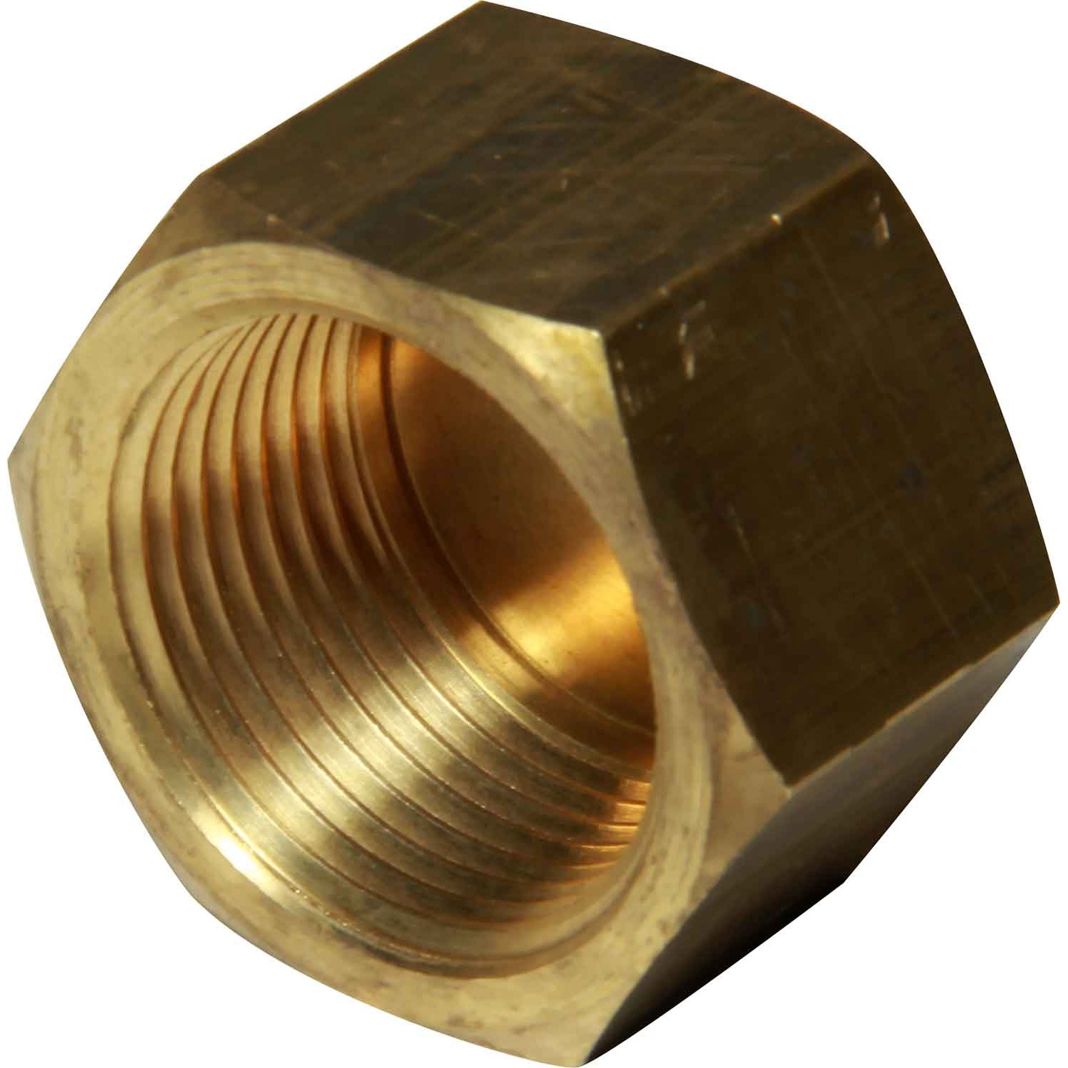 Maestrini Brass Blanking Cap (3/4" BSP Female) 1 Maestrini Brass Blanking Cap
