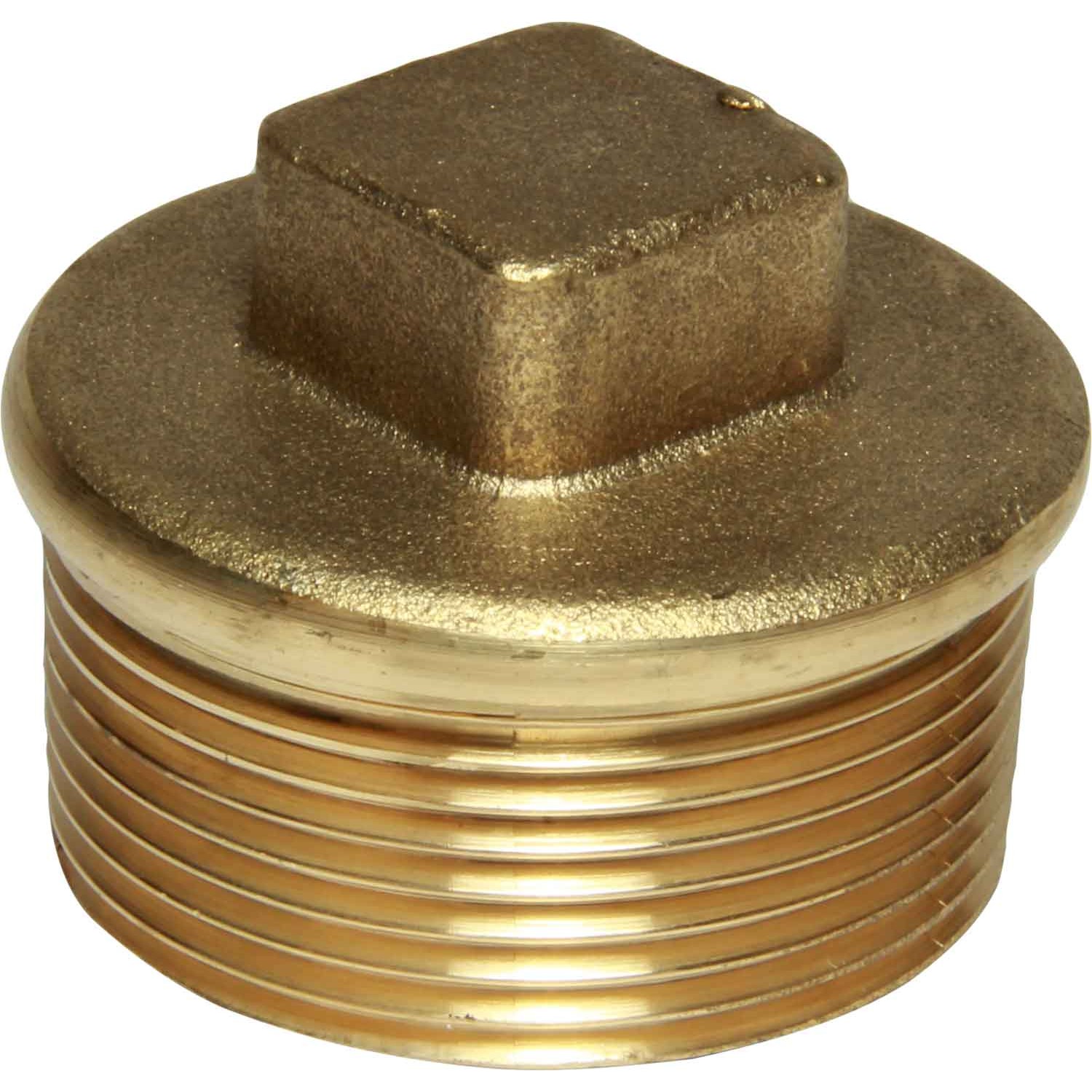 Maestrini Brass Tapered Plug (1-1/2" BSPT Male) 1 Maestrini Brass Tapered Plug