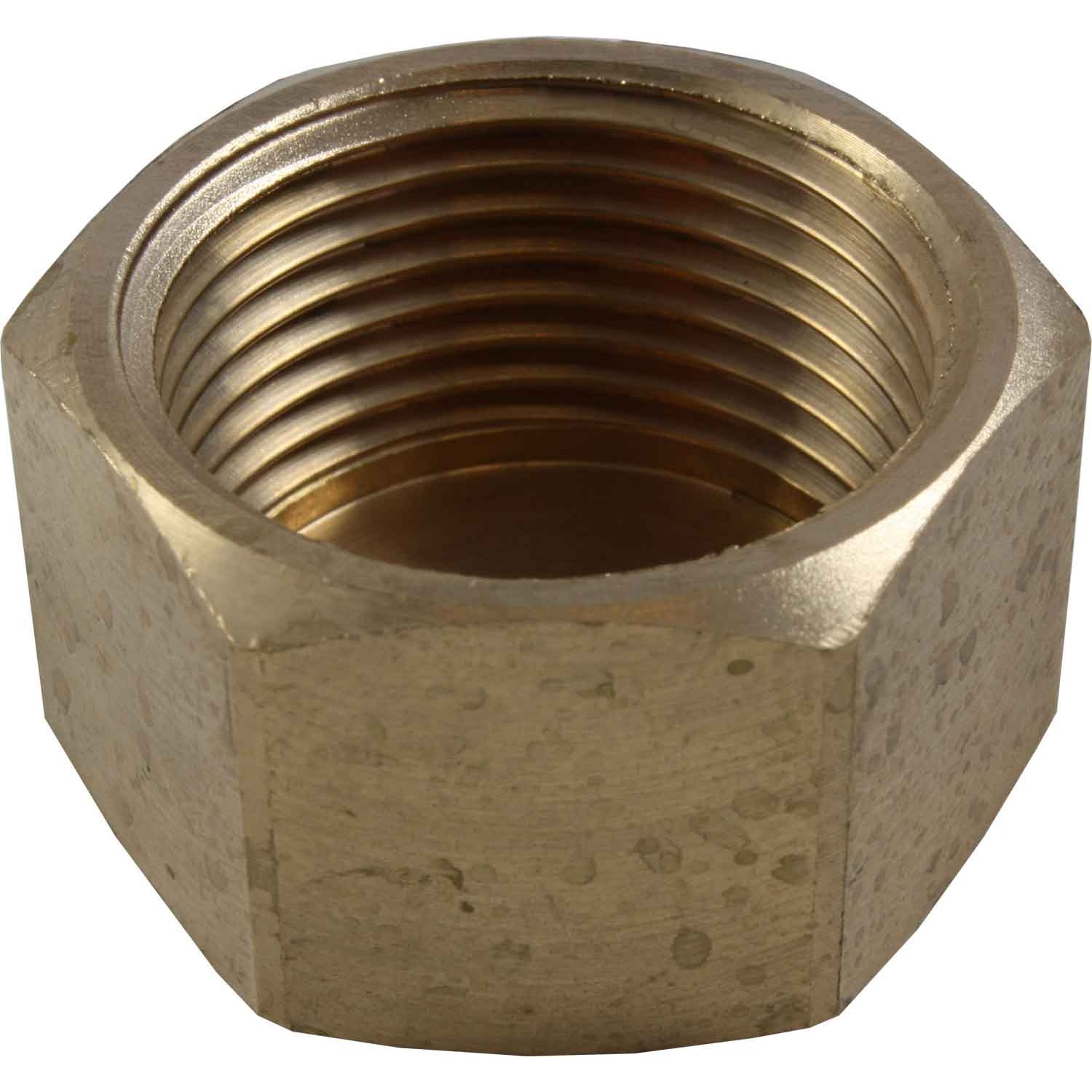 Maestrini Bronze Blanking Cap (1" BSP Female) 1 Maestrini Bronze Blanking Cap