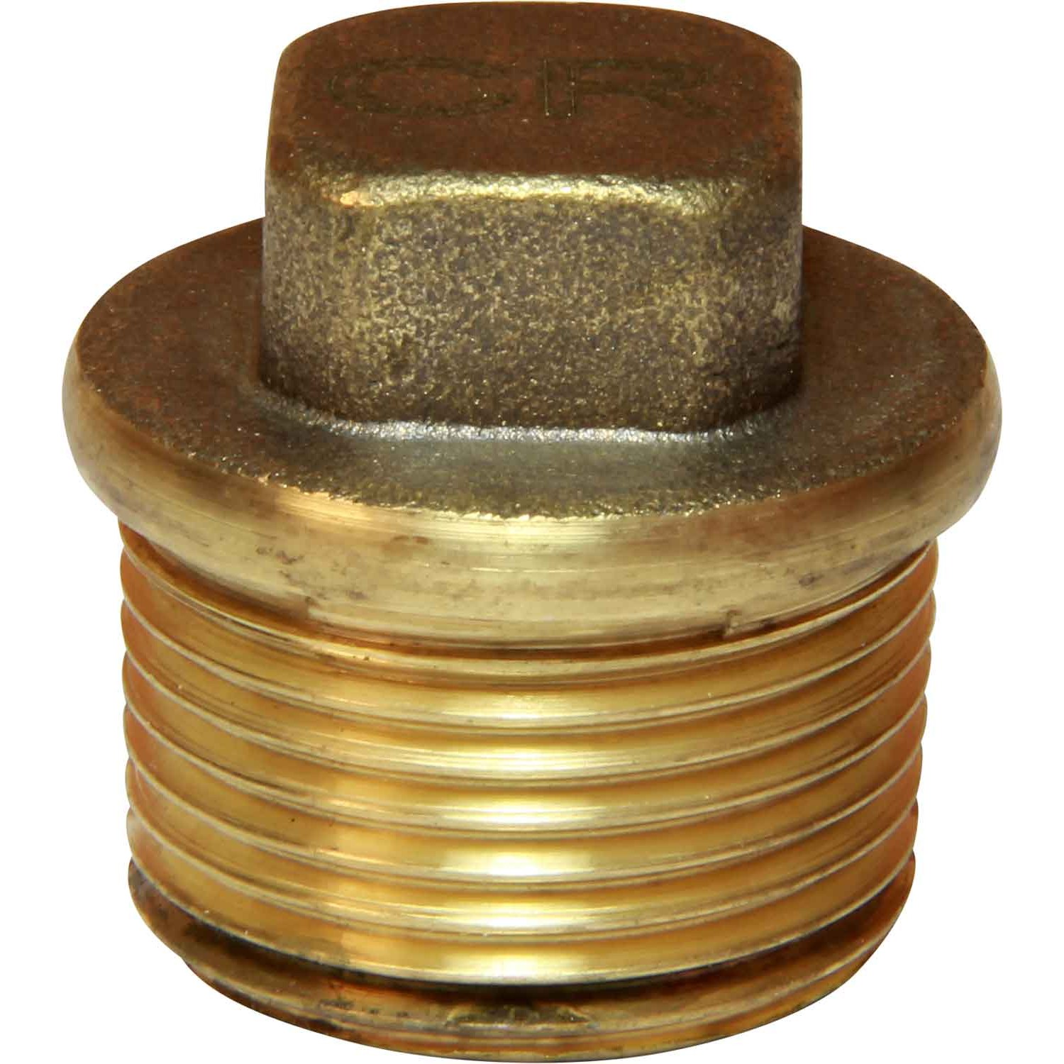 Maestrini DZR Tapered Plug (3/4" BSP Male) 1 Maestrini DZR Tapered Plug