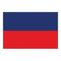 Flag International Code Signal E (30 x 45cm)