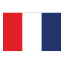 Flag International Code Signal T (30 x 45cm)