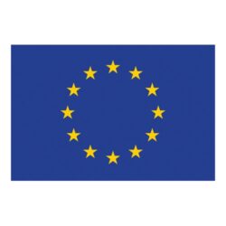 Flag Printed European Community (30 x 45cm)