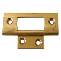 AG Brass Flush Hinge