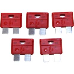 AMC Blade Fuse (10 Amp / 5 Pack)