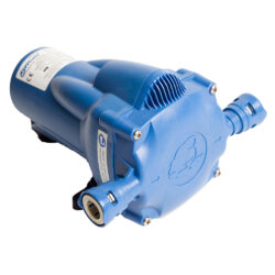 Whale Watermaster Auto Pump
