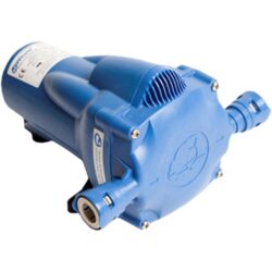 Whale Watermaster Auto Pump