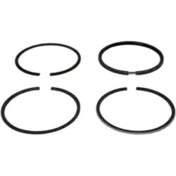 Orbitrade 11161 Piston Ring Kit