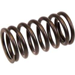 Orbitrade 12384 Engine Valve Spring