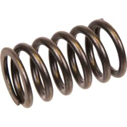 Orbitrade 12889 Engine Valve Spring