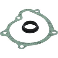 Orbitrade 22039 Gasket & O-Ring Kit