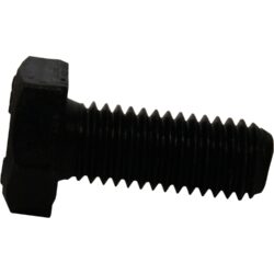 PRM Screw M10x25