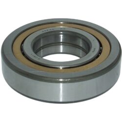 PRM Output Shaft Bearing