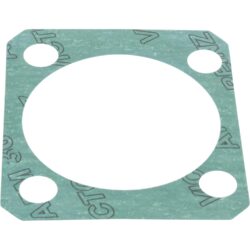 ZF Gasket Bearing End