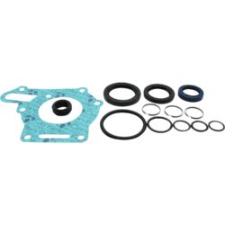 ZF 3315 199 002 Seal Kit & Piston Rings