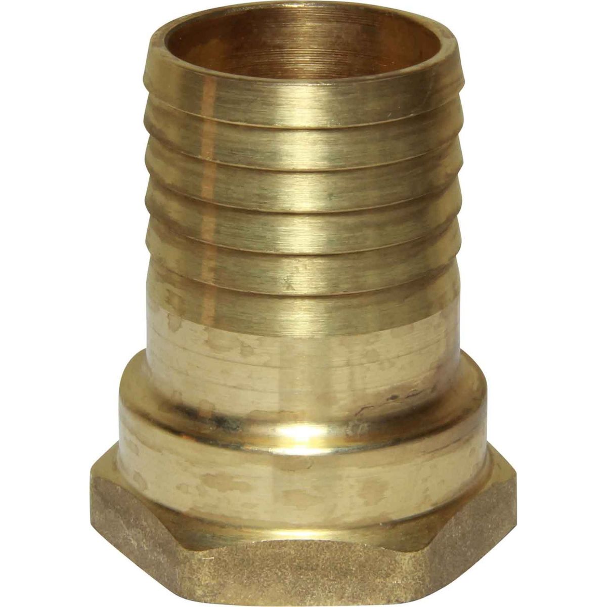 Maestrini Brass Straight Hose Tail (1-1/4" BSP Female to 38mm Hose) 1 Maestrini Brass Straight Hose Tail (1-1/4" BSP Female to 38mm Hose)