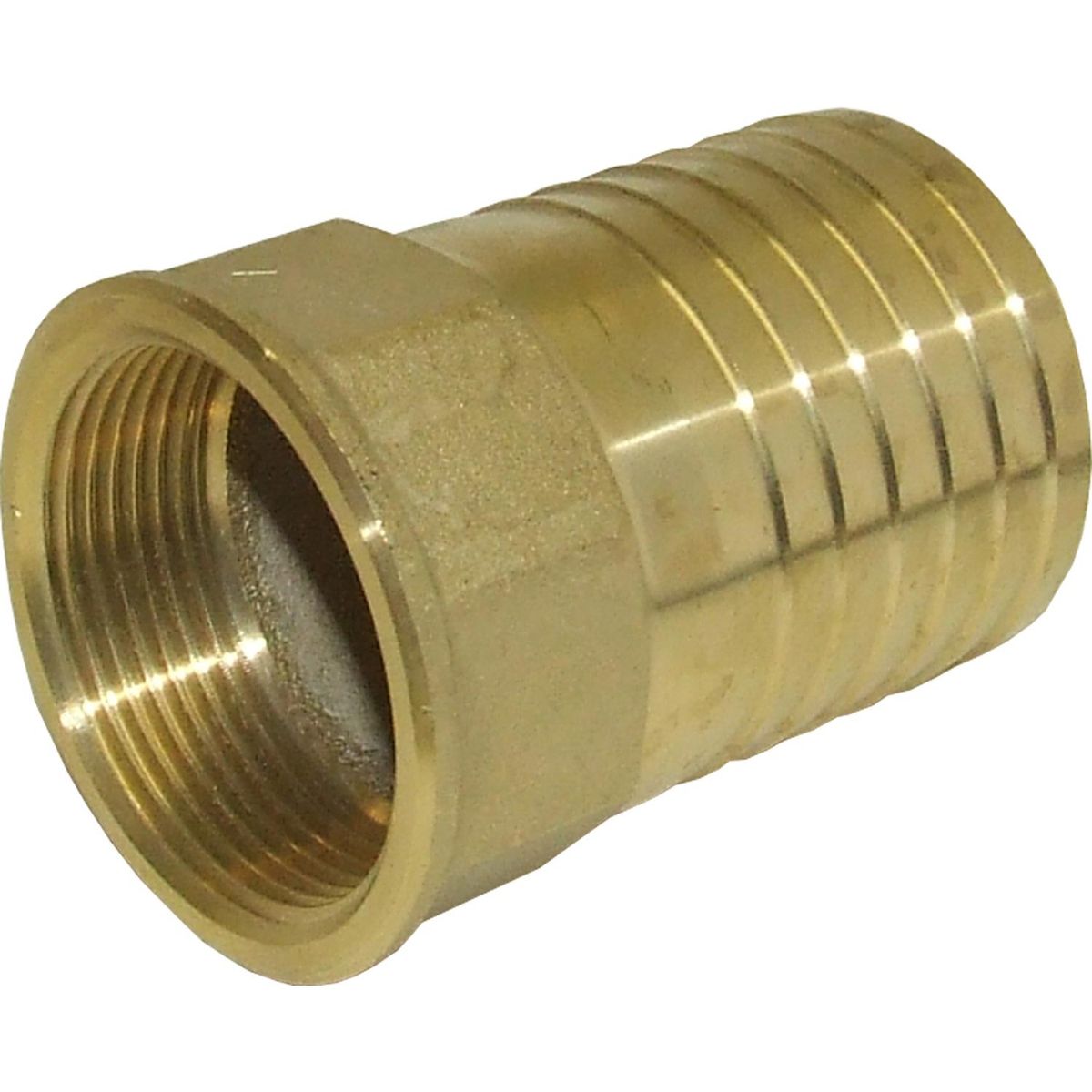 Maestrini Brass Straight Hose Tail (1-1/2" BSP Female to 50mm Hose) 1 Maestrini Brass Straight Hose Tail (1-1/2" BSP Female to 50mm Hose)