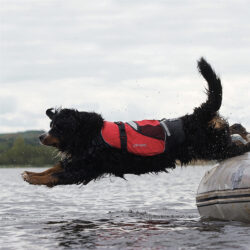 Crewsaver Pet Buoyancy Aid